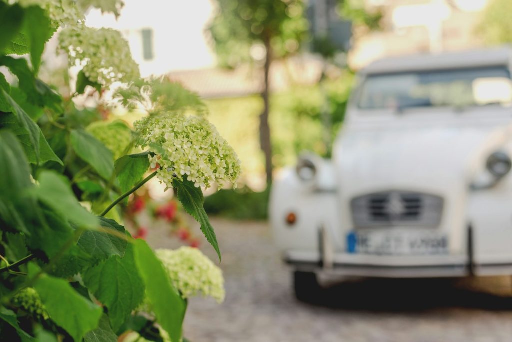 Luxury Car Rental Insurance in Bali, Explained